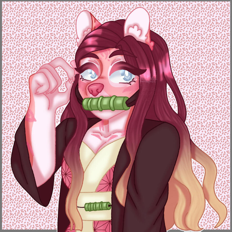 Dipity Sketchy AT [01/04]